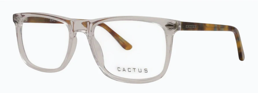 Cactus Elegance - Image 9