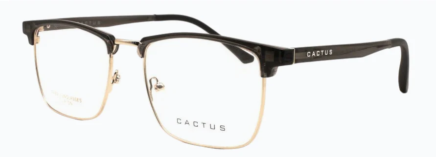 Cactus Eminent - Image 4