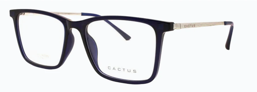 Cactus Enchant - Image 4
