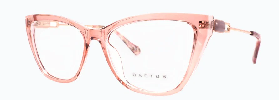 Cactus Era - Image 2