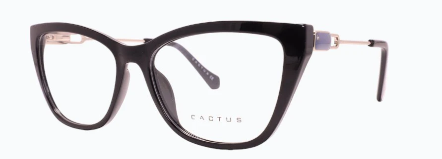 Cactus Era - Image 5