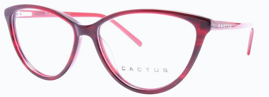 Cactus Erbium - Image 3