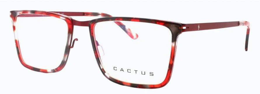 Cactus Euphrates - Image 2