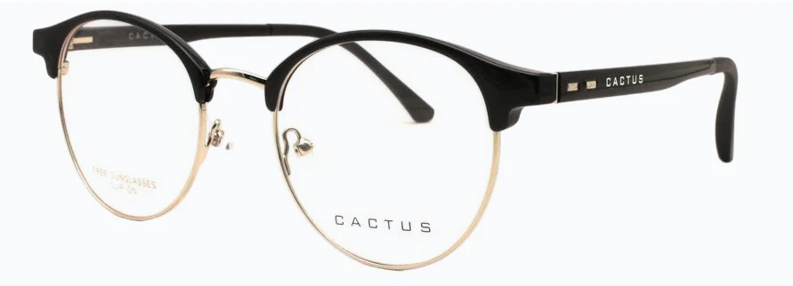 Cactus Flair - Image 4