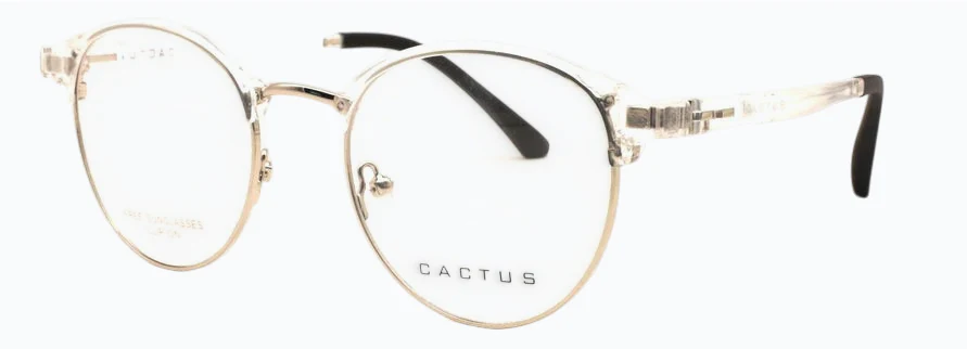 Cactus Flair - Image 8