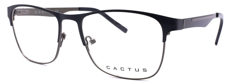 Cactus Floater - Image 2