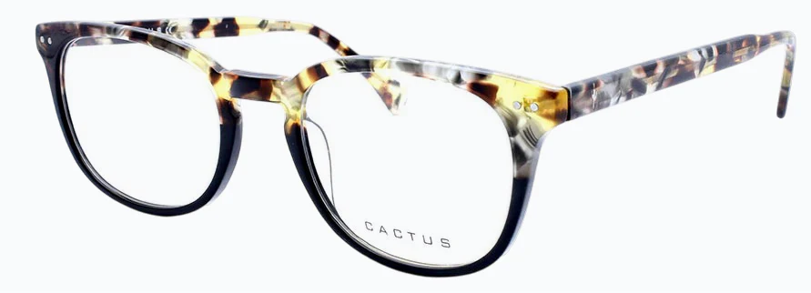 Cactus Gig - Image 8