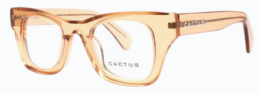 Cactus Gigsi - Image 3