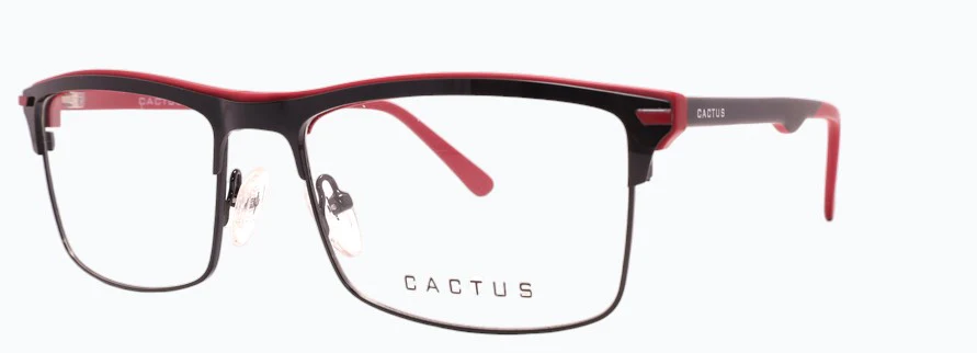 Cactus Hermit - Image 5