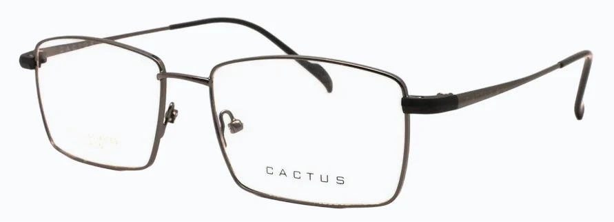 Cactus Immaculate - Image 3