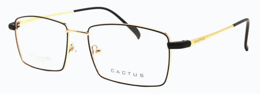 Cactus Immaculate - Image 6