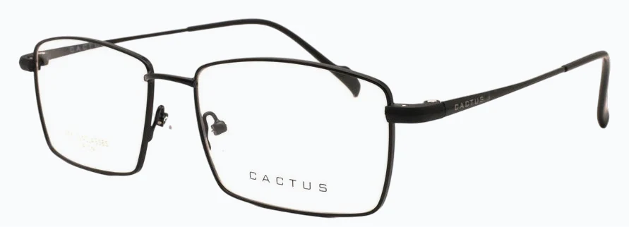 Cactus Immaculate - Image 9