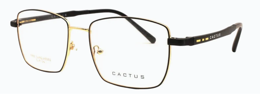 Cactus Incandescent - Image 3