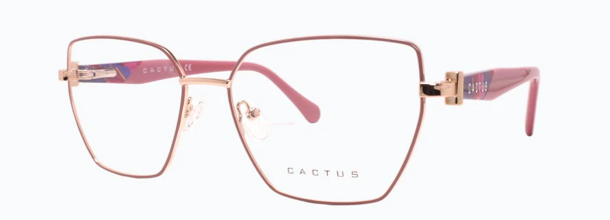 Cactus Indie - Image 2