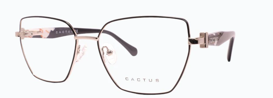 Cactus Indie - Image 5