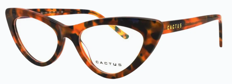 Cactus Insight - Image 3