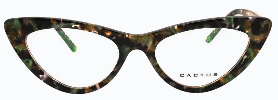 Cactus Insight - Image 7