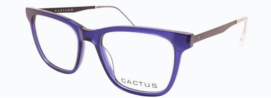 Cactus Jax - Image 11
