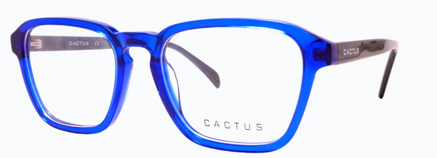 Cactus Jetsam - Image 5