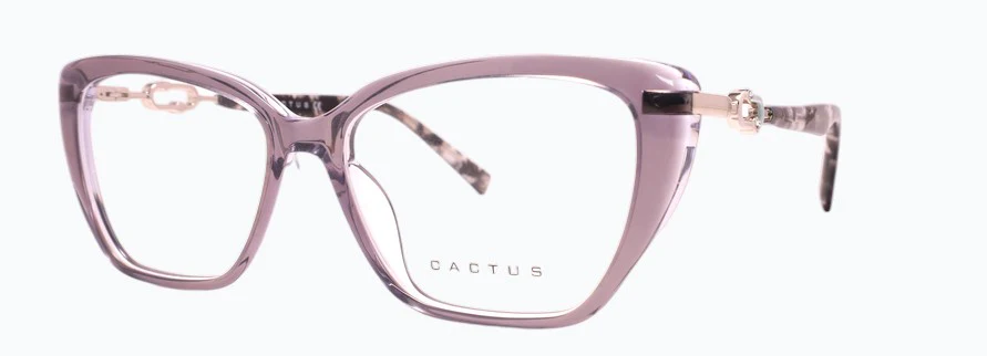 Cactus Junction - Image 2