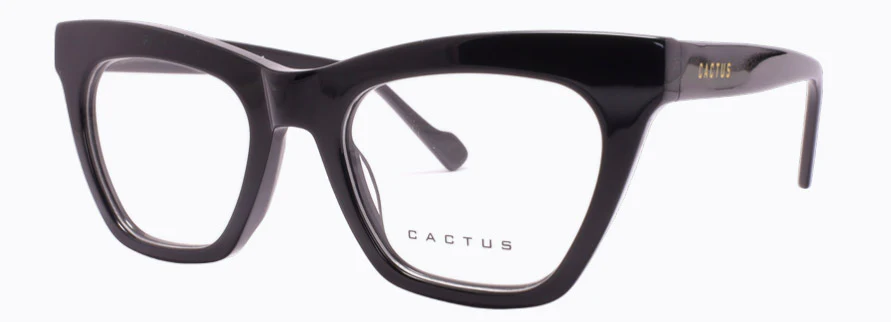 Cactus Keystone - Image 2
