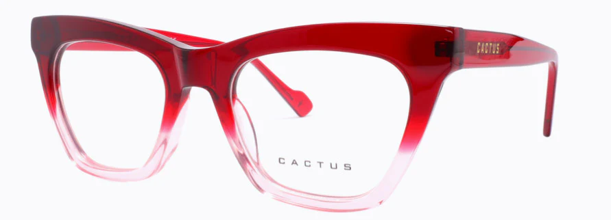 Cactus Keystone - Image 5