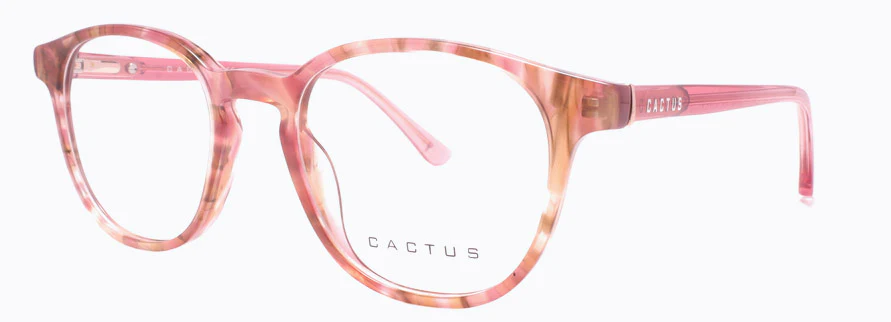 Cactus Kids Inland - Image 3