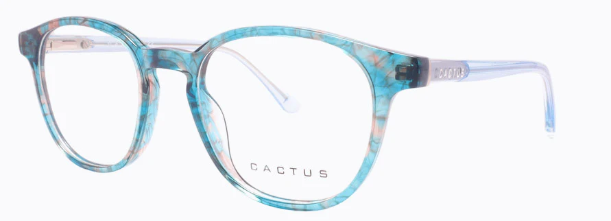 Cactus Kids Inland - Image 7