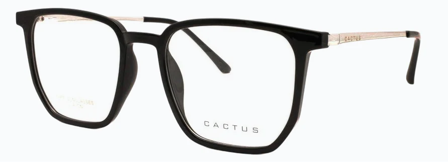 Cactus Kinetic - Image 3
