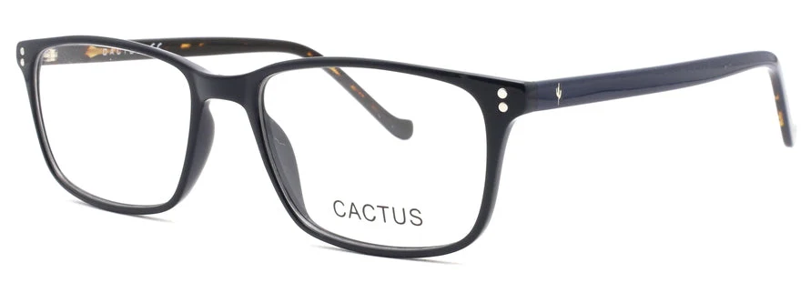 Cactus Lapis - Image 3