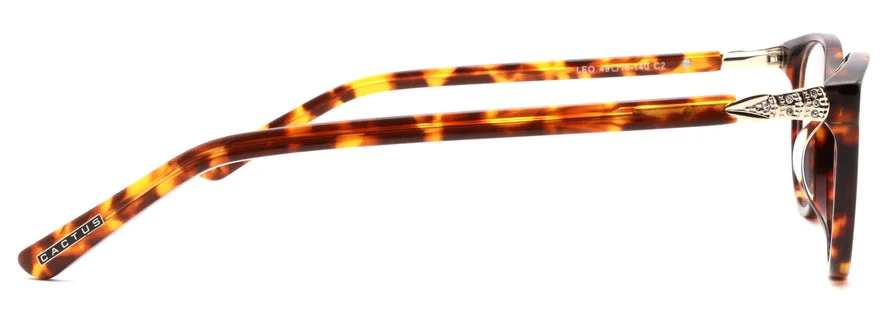 Cactus Leo - Image 4