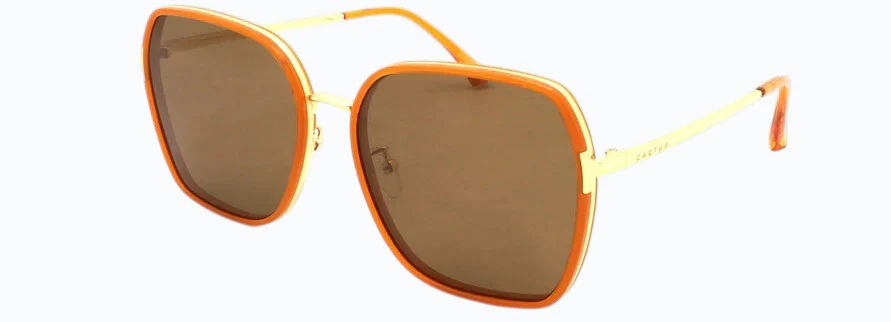 Cactus LS306 - Image 3
