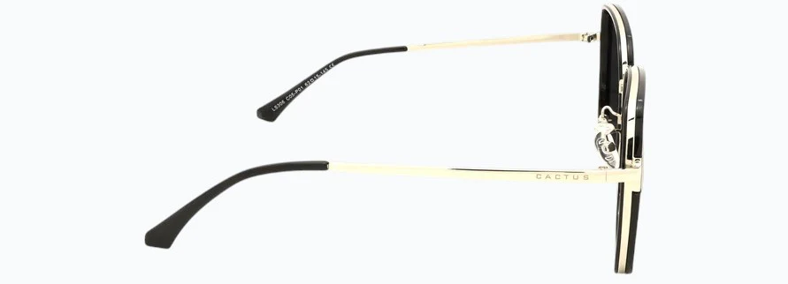 Cactus LS306 - Image 7