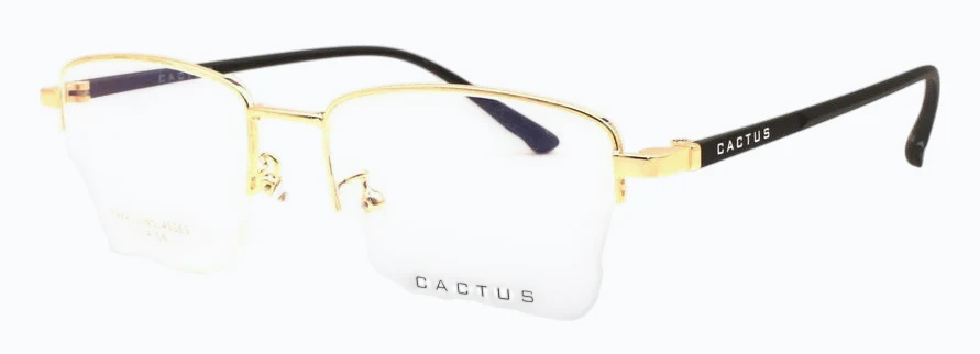 Cactus Magnetism - Image 3