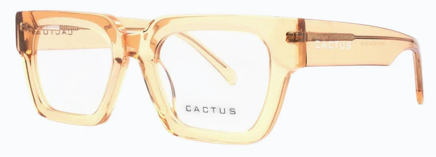 Cactus Maisha - Image 9