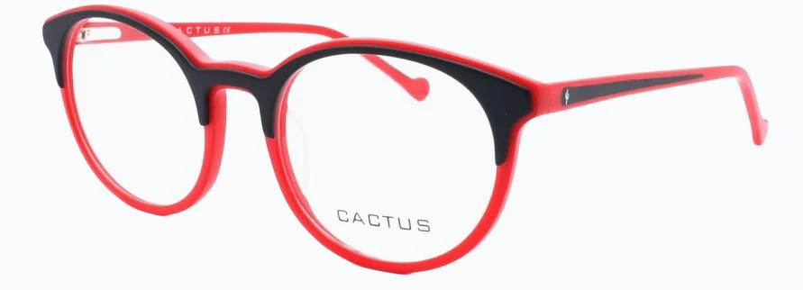 Cactus Midnight - Image 3