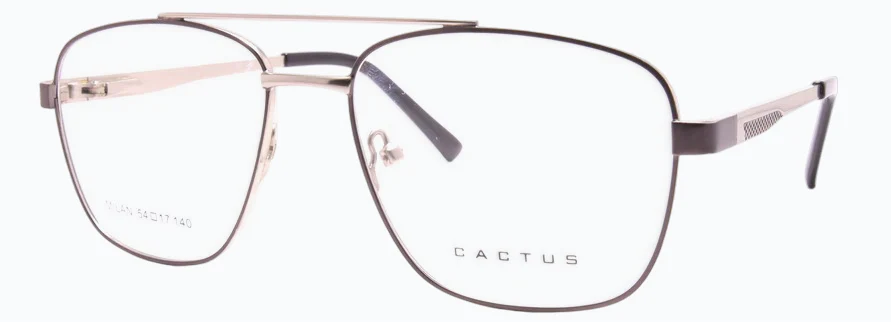 Cactus Milan - Image 3