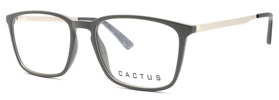 Cactus Napoli - Image 5