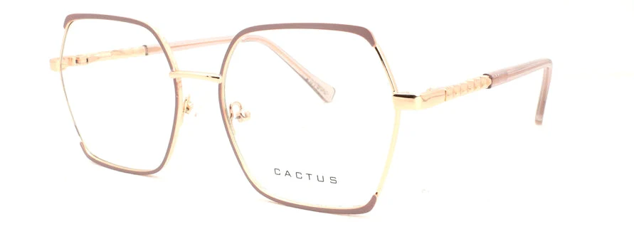 Cactus Nihon - Image 2