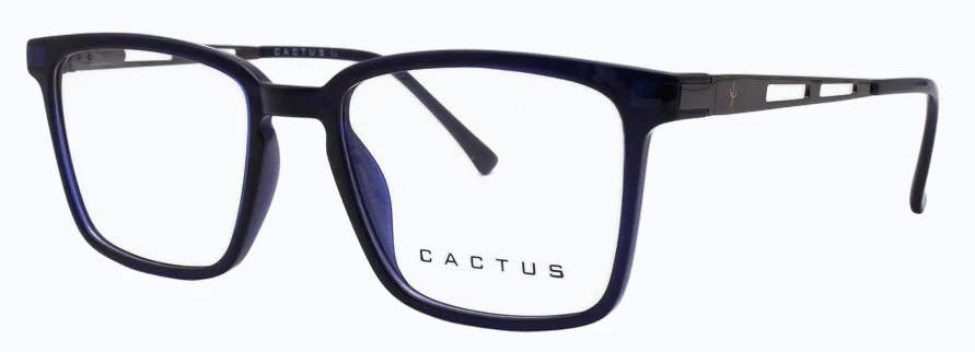 Cactus Nonix - Image 19