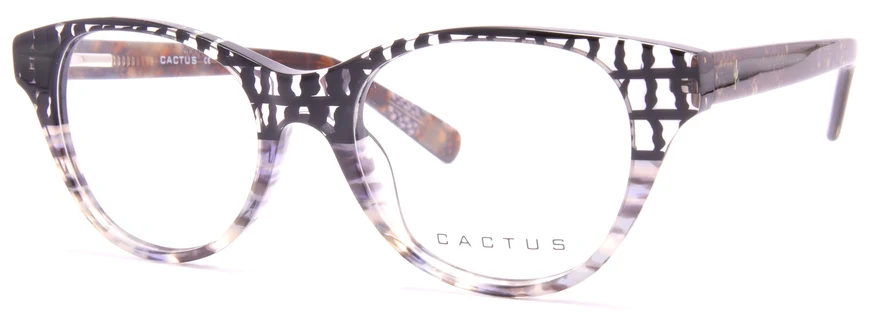 Cactus Oa463-4 - Image 4