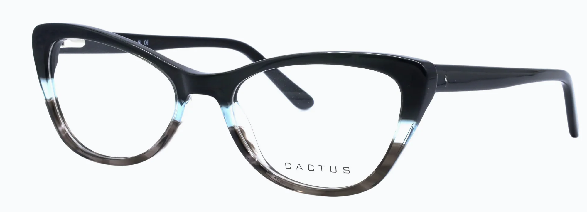 Cactus Ocean - Image 3