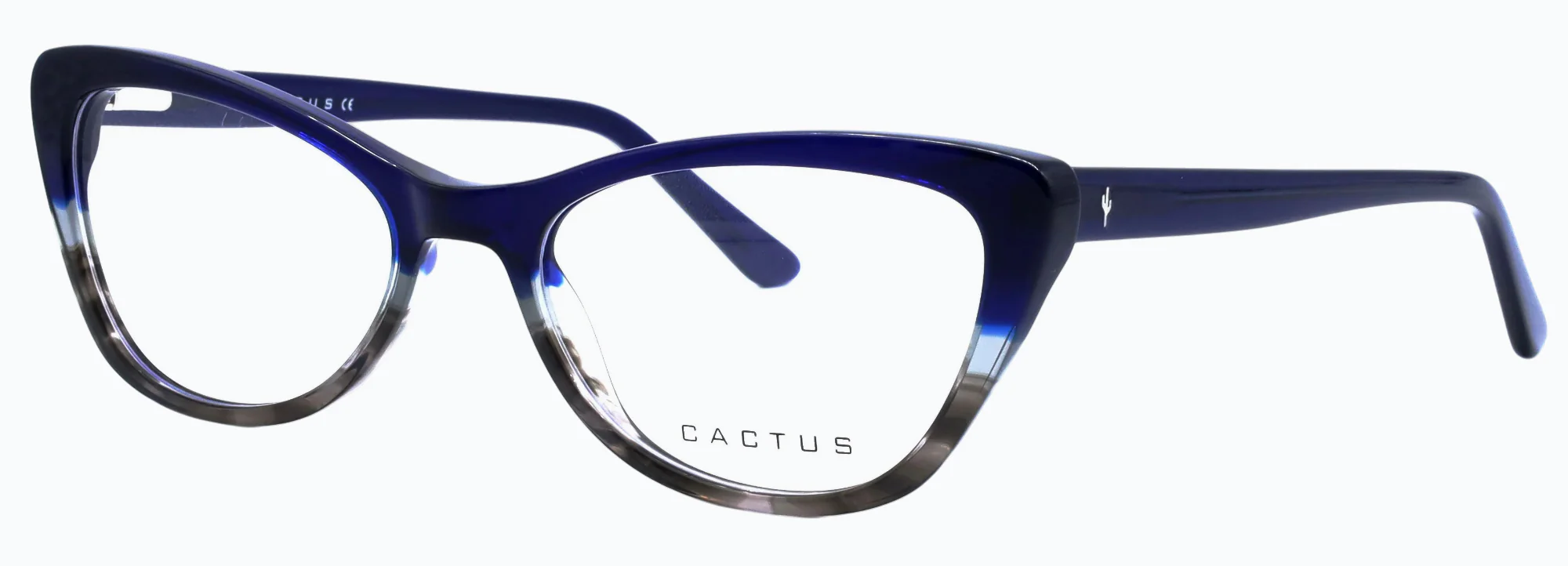 Cactus Ocean - Image 6
