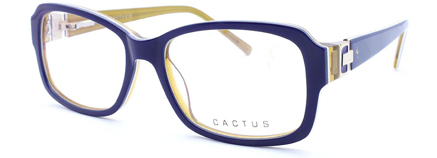 Cactus OLS2154 - Image 2