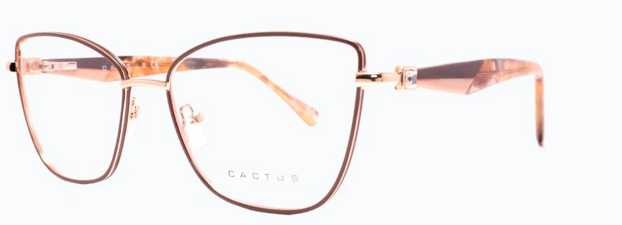 Cactus Plaza - Image 2