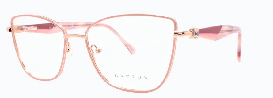 Cactus Plaza - Image 5
