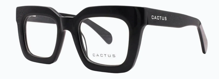 Cactus Ponta - Image 6
