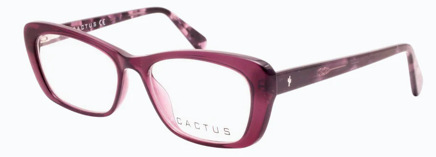 Cactus Prax - Image 2