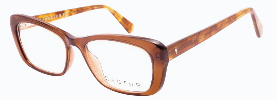 Cactus Prax - Image 8
