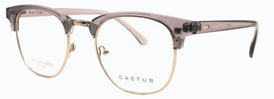 Cactus Prism - Image 3